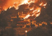 Δασικές πυρκαγιές 2025 – Σε 8,85 εκατ. ευρώ εκτιμώνται οι αποζημιώσεις των ασφαλιστικών επιχειρήσεων